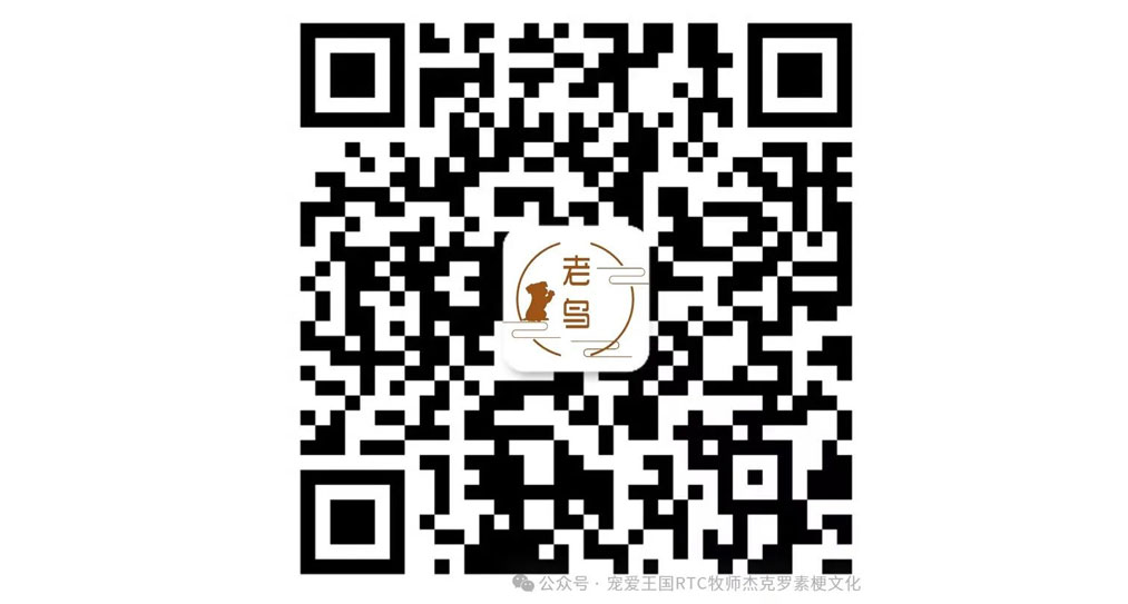 未标题-2.jpg