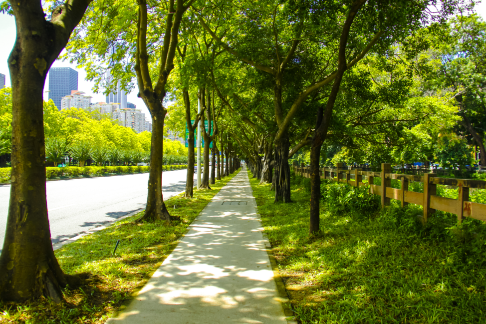 微信图片_20230908104142_2.png