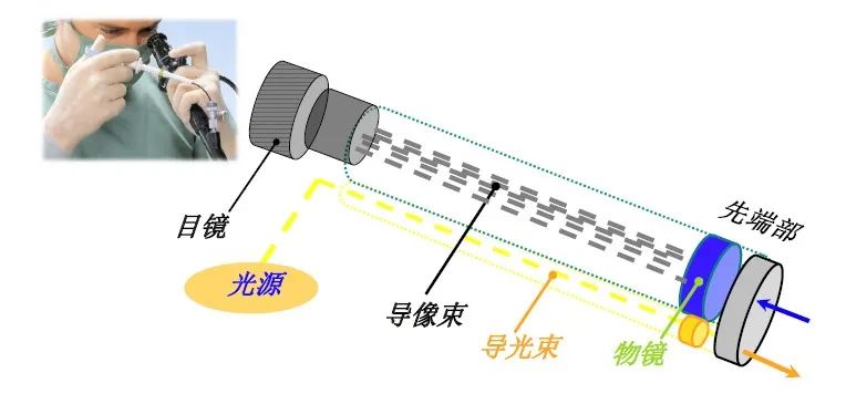 內窺鏡結構2.jpg