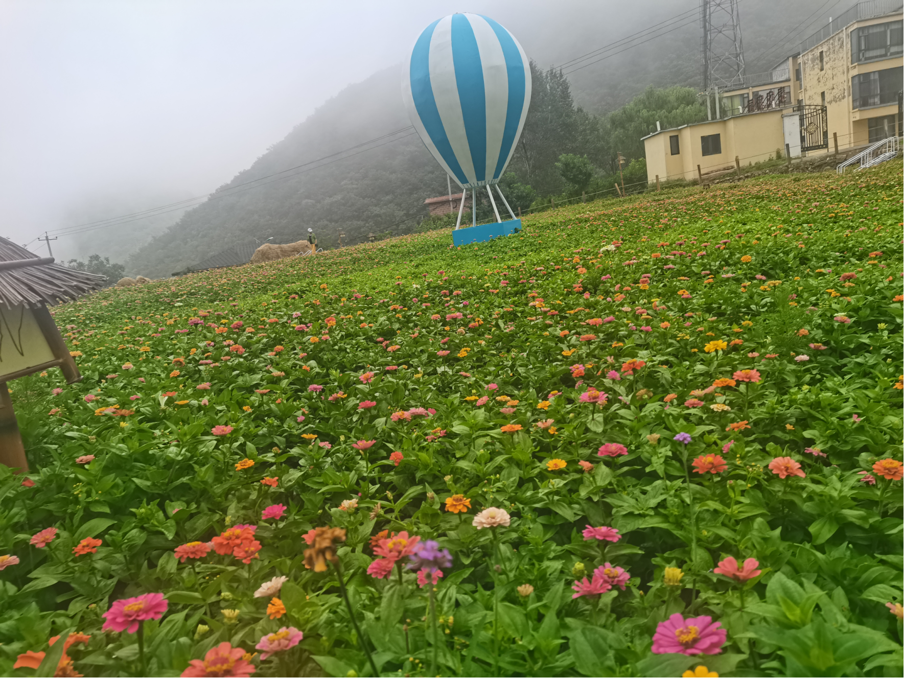 春日嶂石岩 | 欢歌笑语的花海仙境