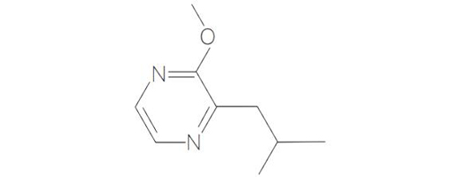  2- 甲氧基 -3- 异丁基吡嗪
