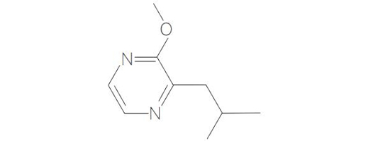  2-methoxy-3-isobutyl pyrazine