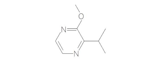  2- 甲氧基 -3（5 或 6）- 异丙基吡嗪