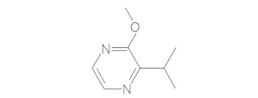  2- 甲氧基 -3（5 或 6）- 異丙基吡嗪