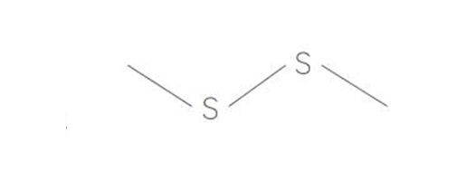  二甲基二硫醚
