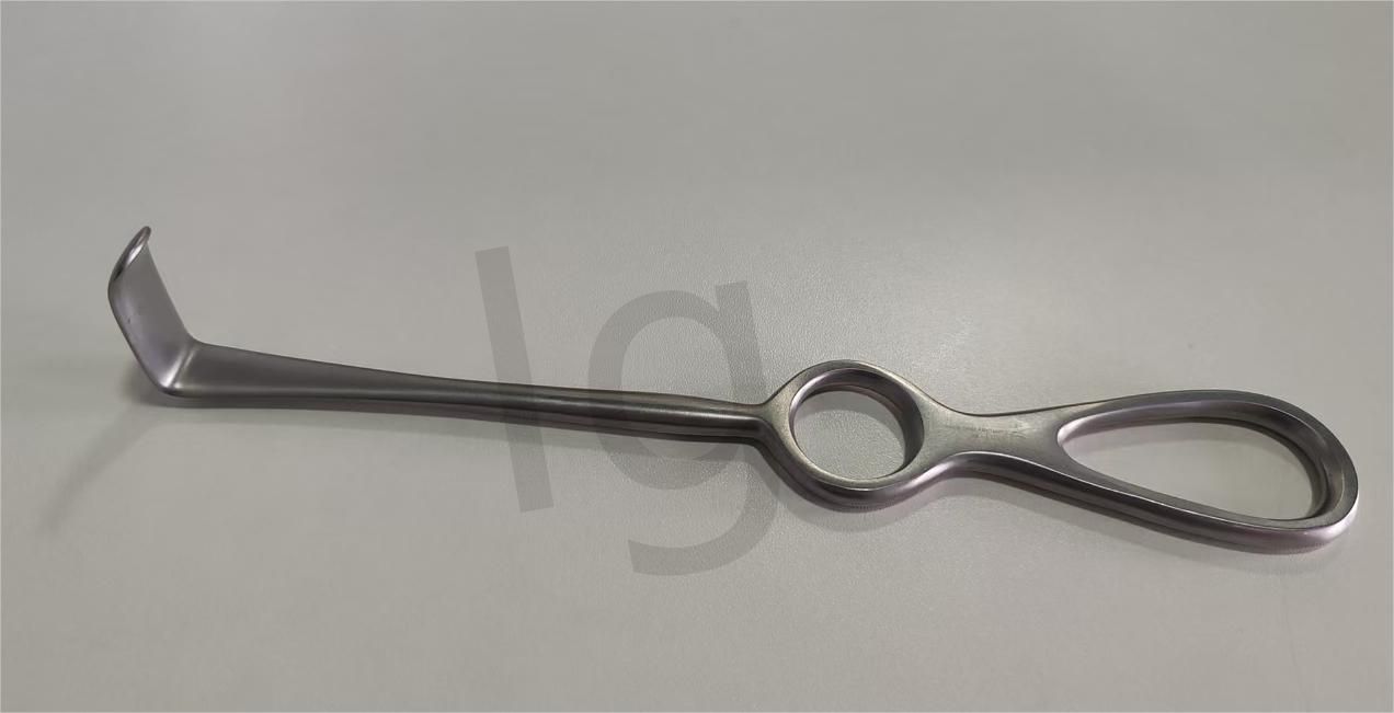 LG111.01.jpg