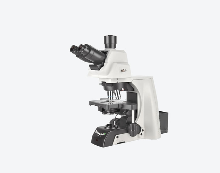 NE930 正置显微镜