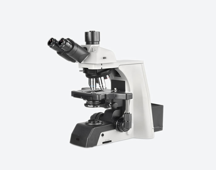 NE910 正置显微镜