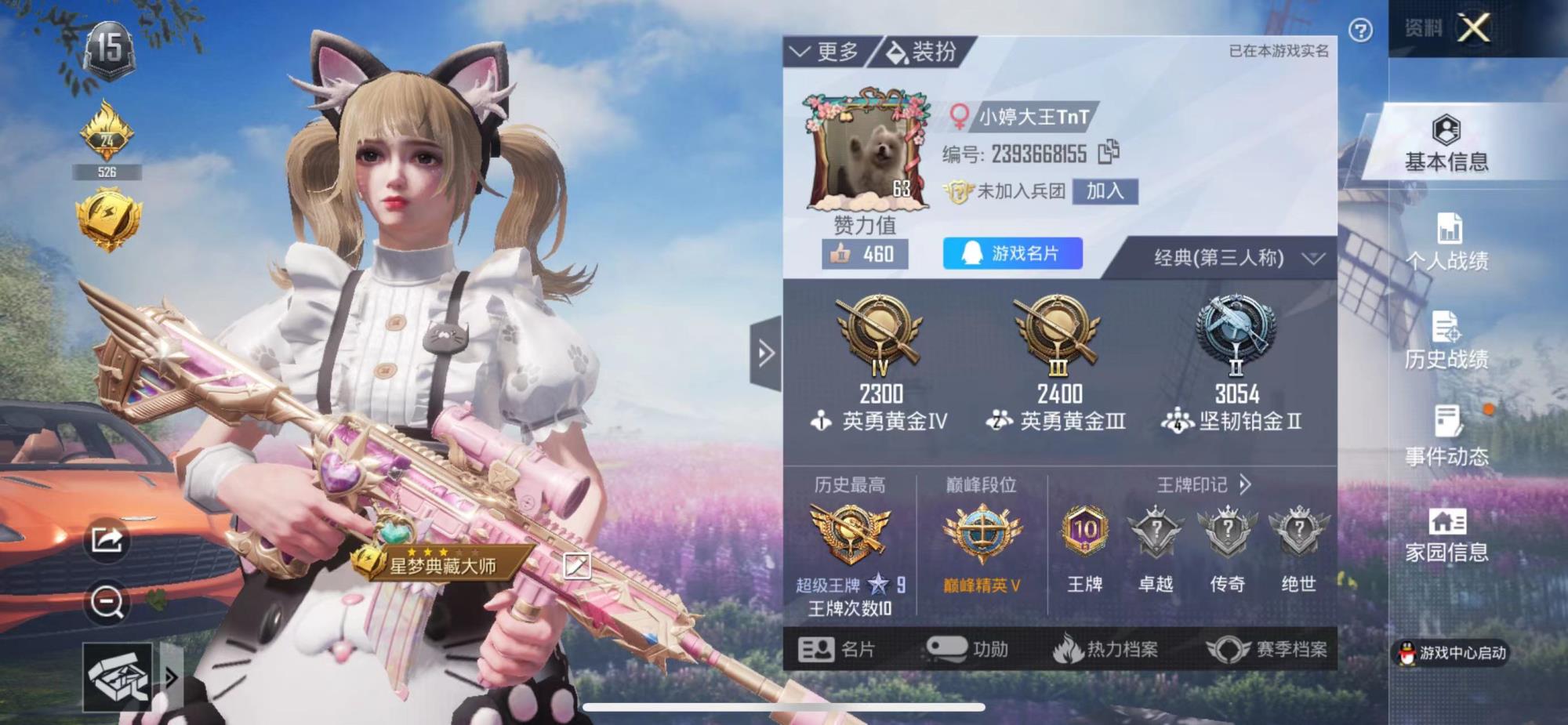 jw4930 苹果Q 可二次 9粉装 洛天依 3特 心之恋语7级 洛神天依7级 碧影闪光6级 4载具 马丁红 马丁橙 兰博基尼绿 海龙奔腾