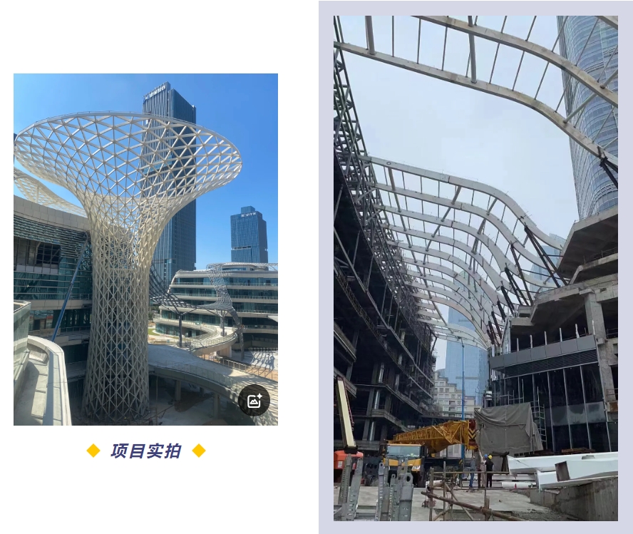 微信截图_20241129145907.jpg