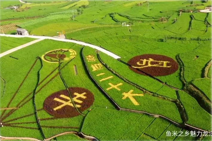 未标题-2.jpg 未标题-2.jpg