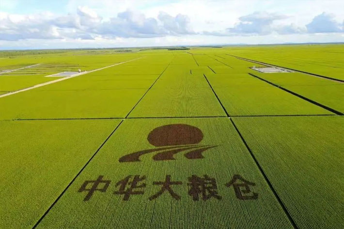 未标题-2.jpg 未标题-2.jpg