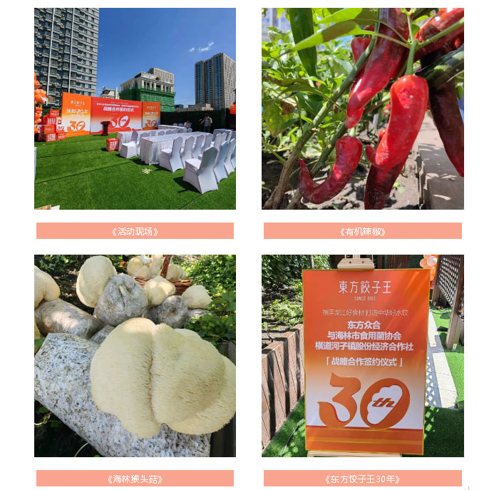 未标题-3.jpg 未标题-3.jpg