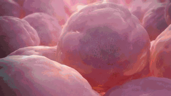 1.gif
