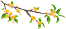 12.png