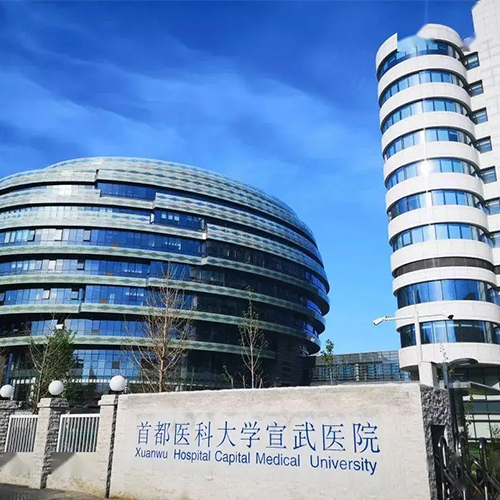 官网内容图片模板副本.jpg