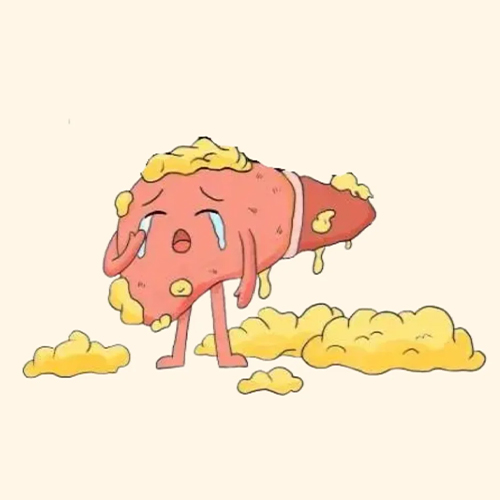官网内容图片模板副本.jpg