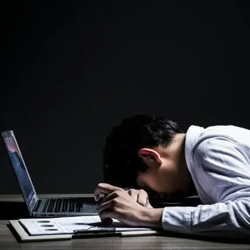 官网内容图片模板副本.jpg