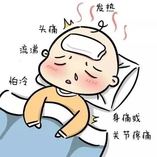 官网内容图片模板副本.jpg