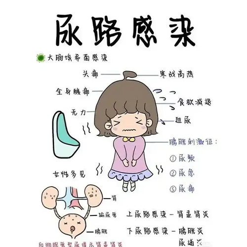 官网内容图片模板副本.jpg