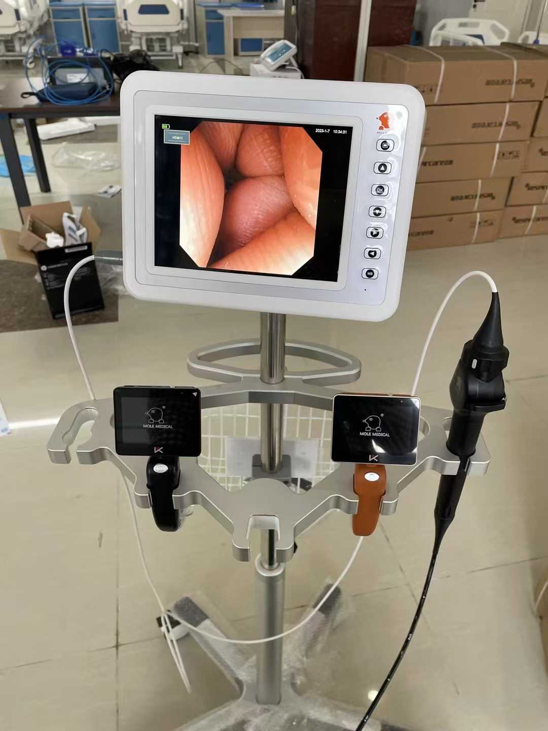 鼹鼠医疗优可视品牌 (1).jpg