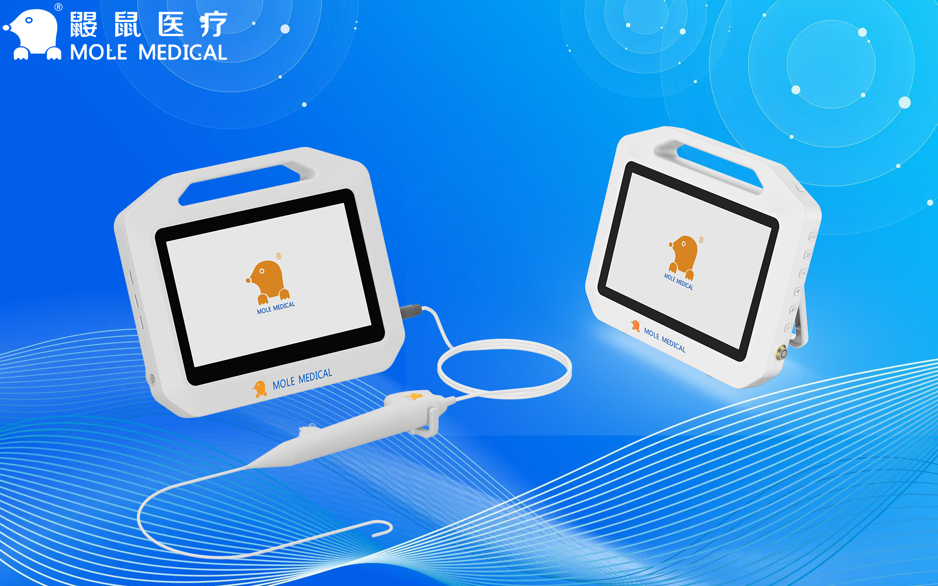 鼹鼠医疗一次性电子输尿管软镜在上尿路结石治疗中的临床价值评估 (2).jpg