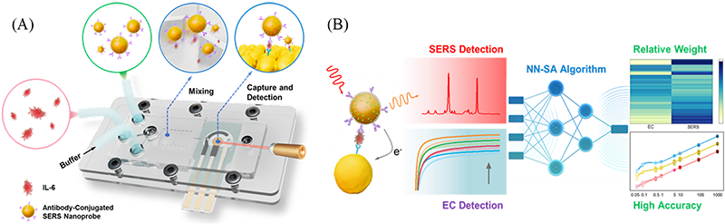 图片2-.png