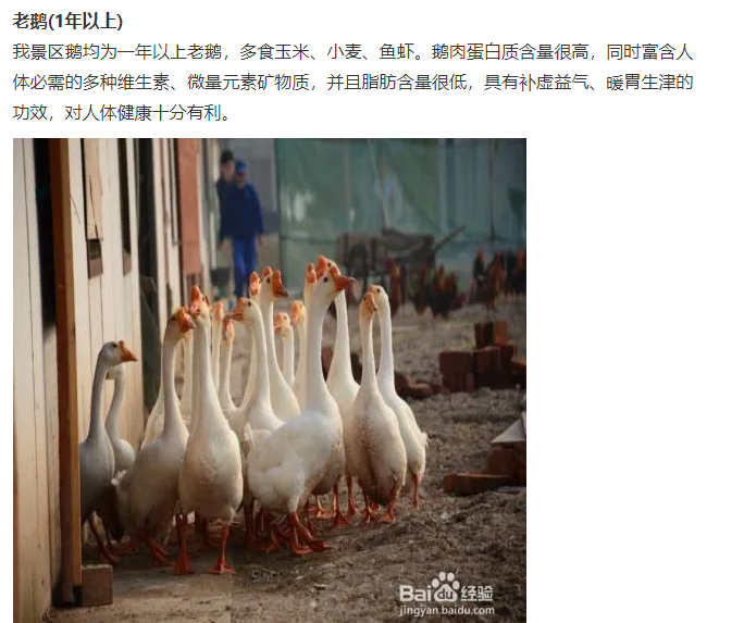 微信图片_20241207191139.png