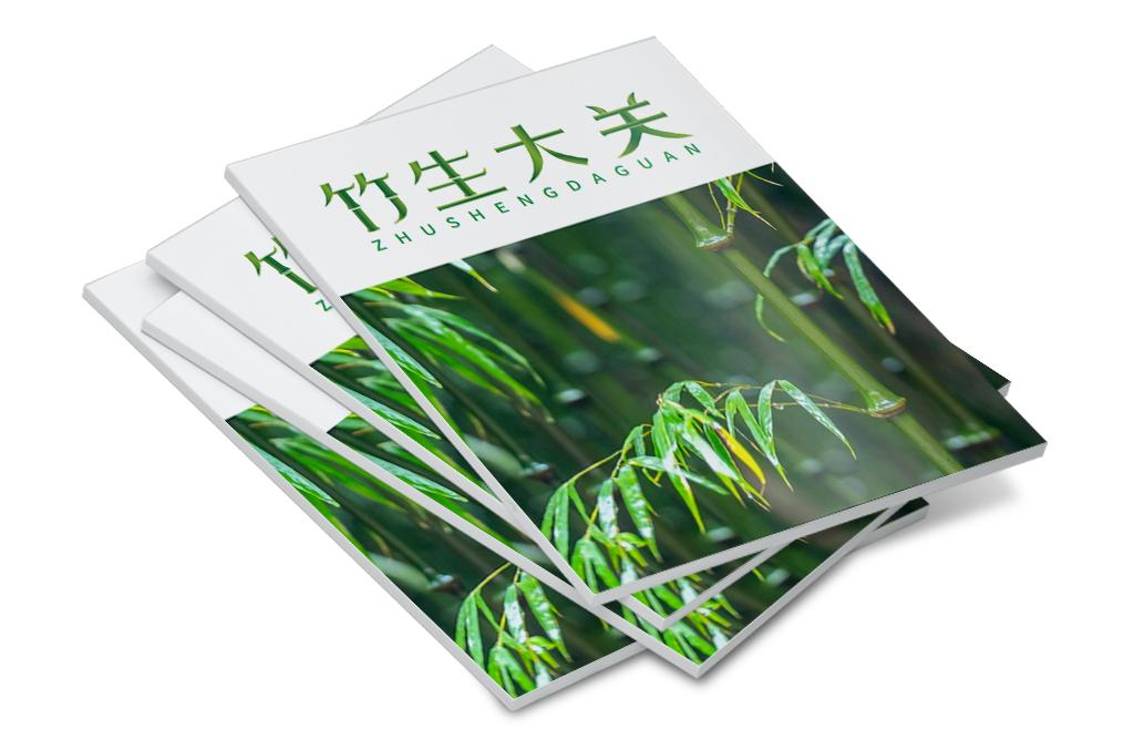 l-叠放书本书籍画册样机 拷贝.jpg