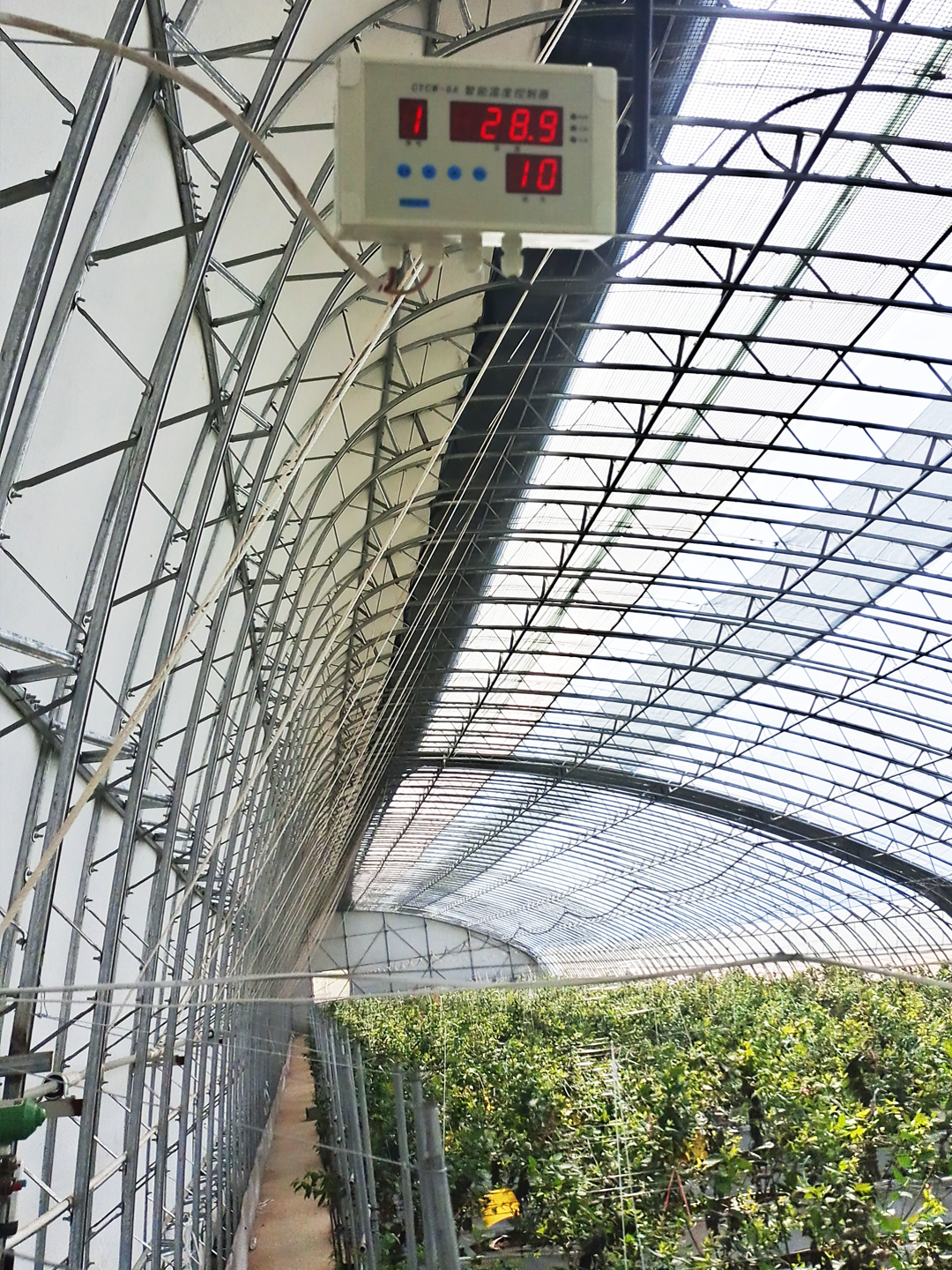 蓝莓大棚温度控制系统