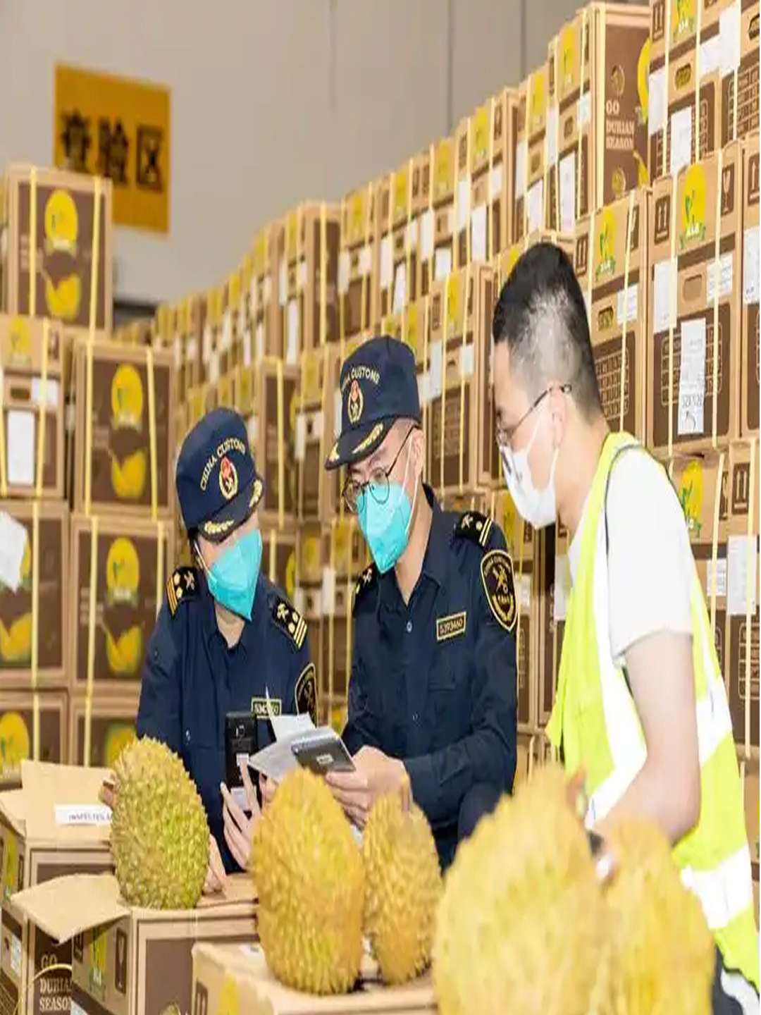 出口水果温度记录仪-符合海关检验标准