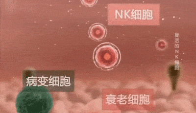 5.gif